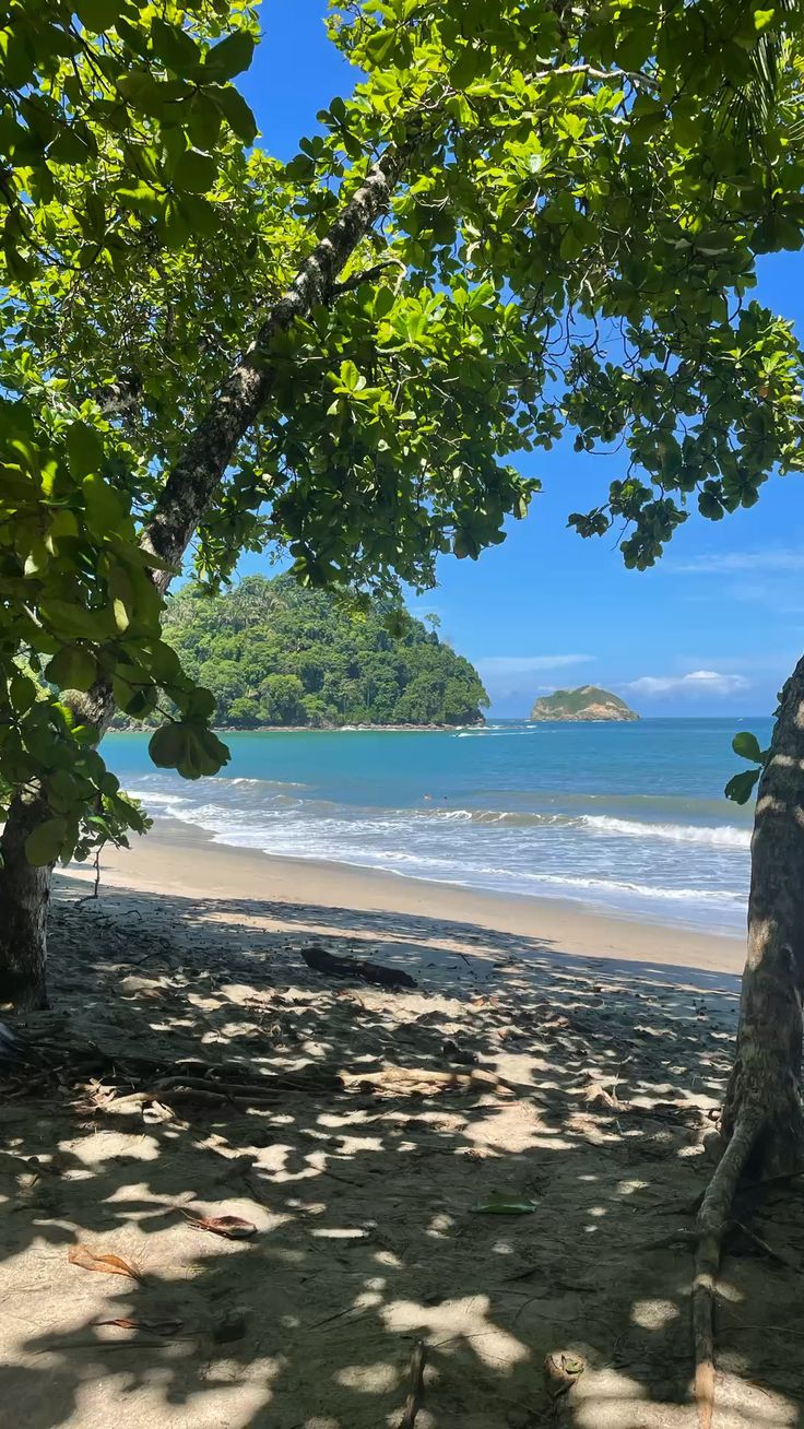 Complete Guide to Visiting Manuel Antonio National Park