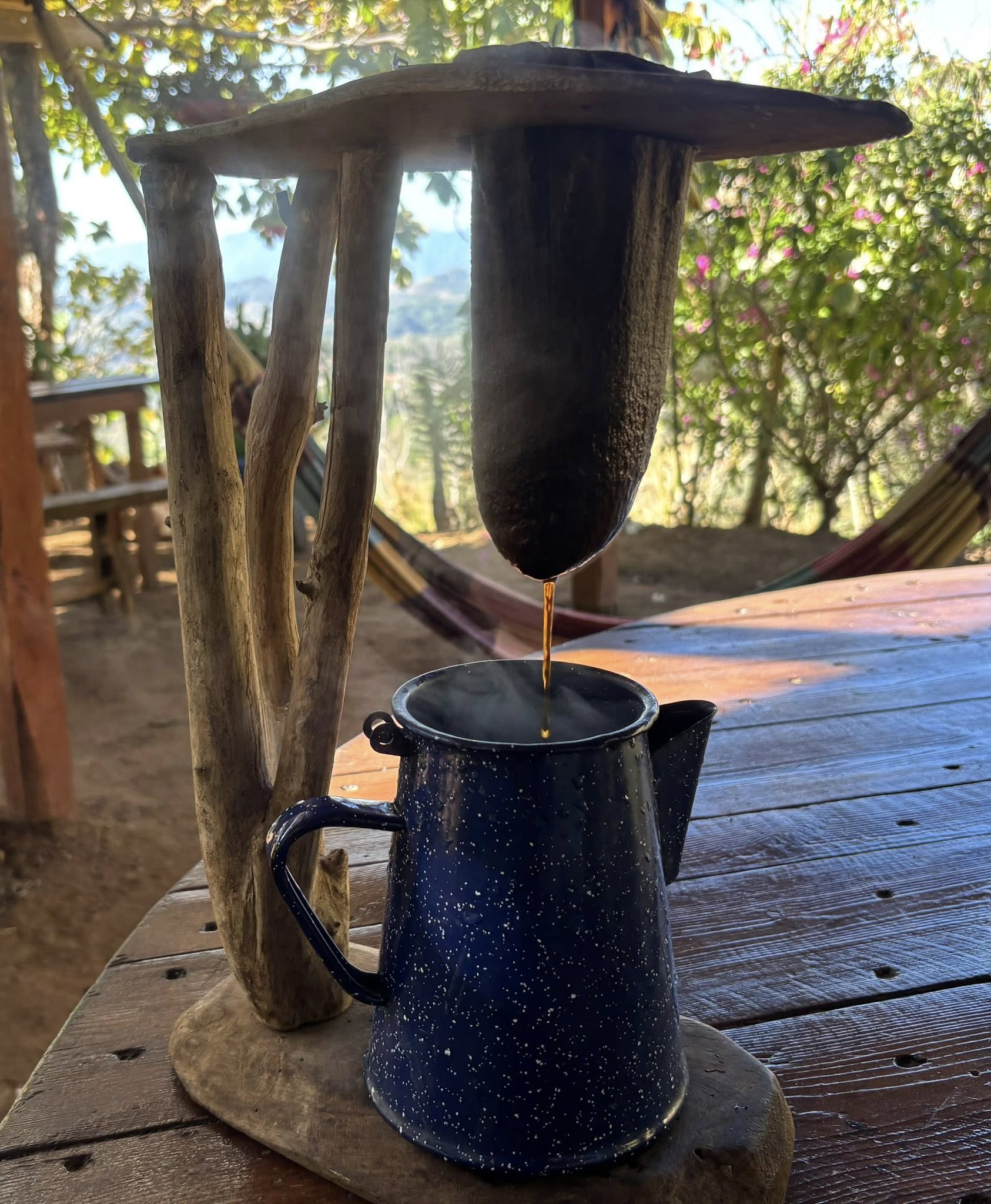 Traditional Costa Rican