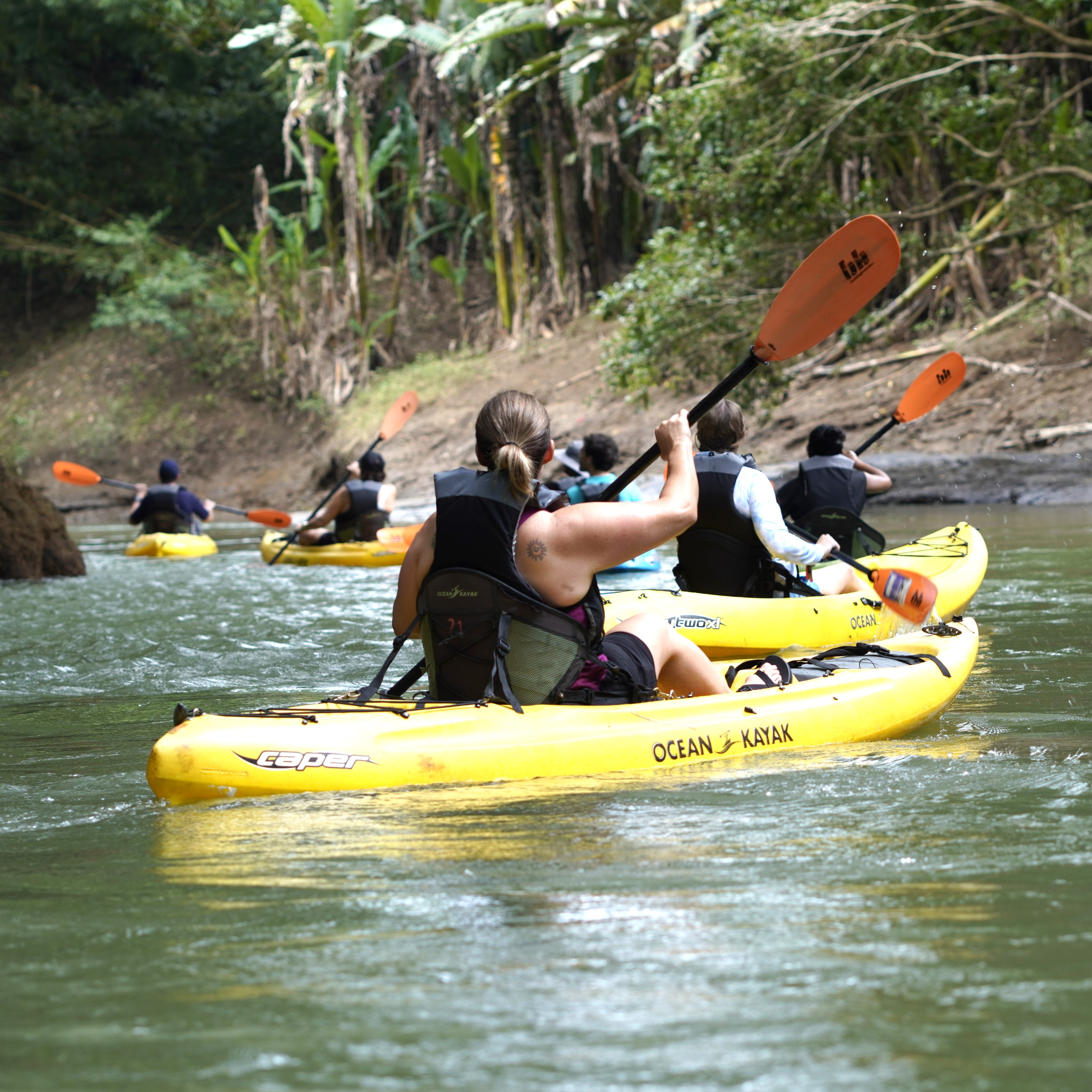 Rainforest River Kayak 2