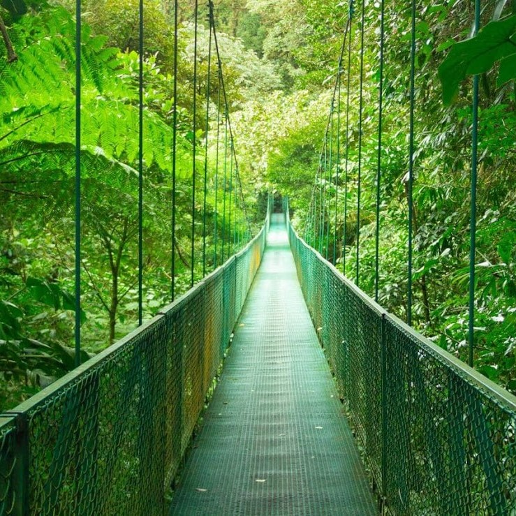 Sky Walk / Puentes Colgantes
