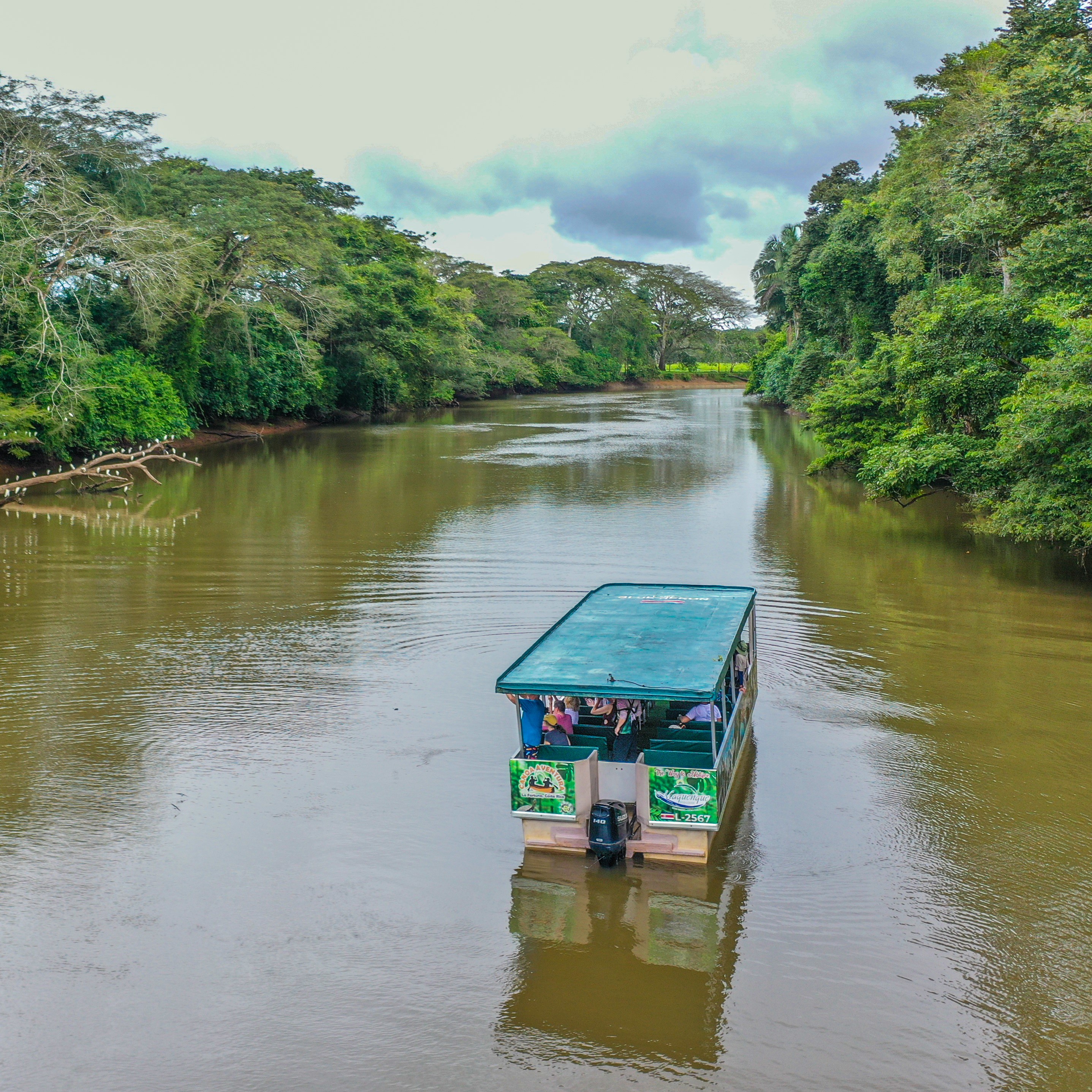 Safari de Vida Silvestre