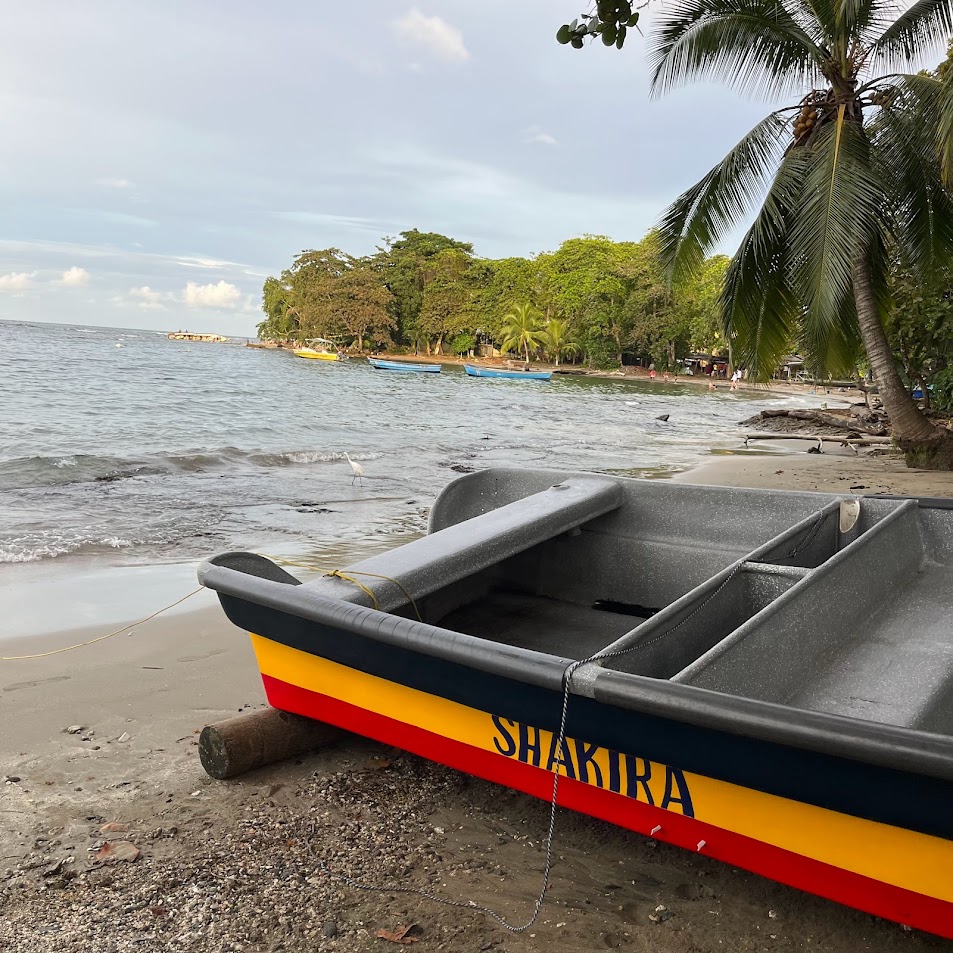 Ticket from SJO Aiport to Puerto viejo, Talamanca.