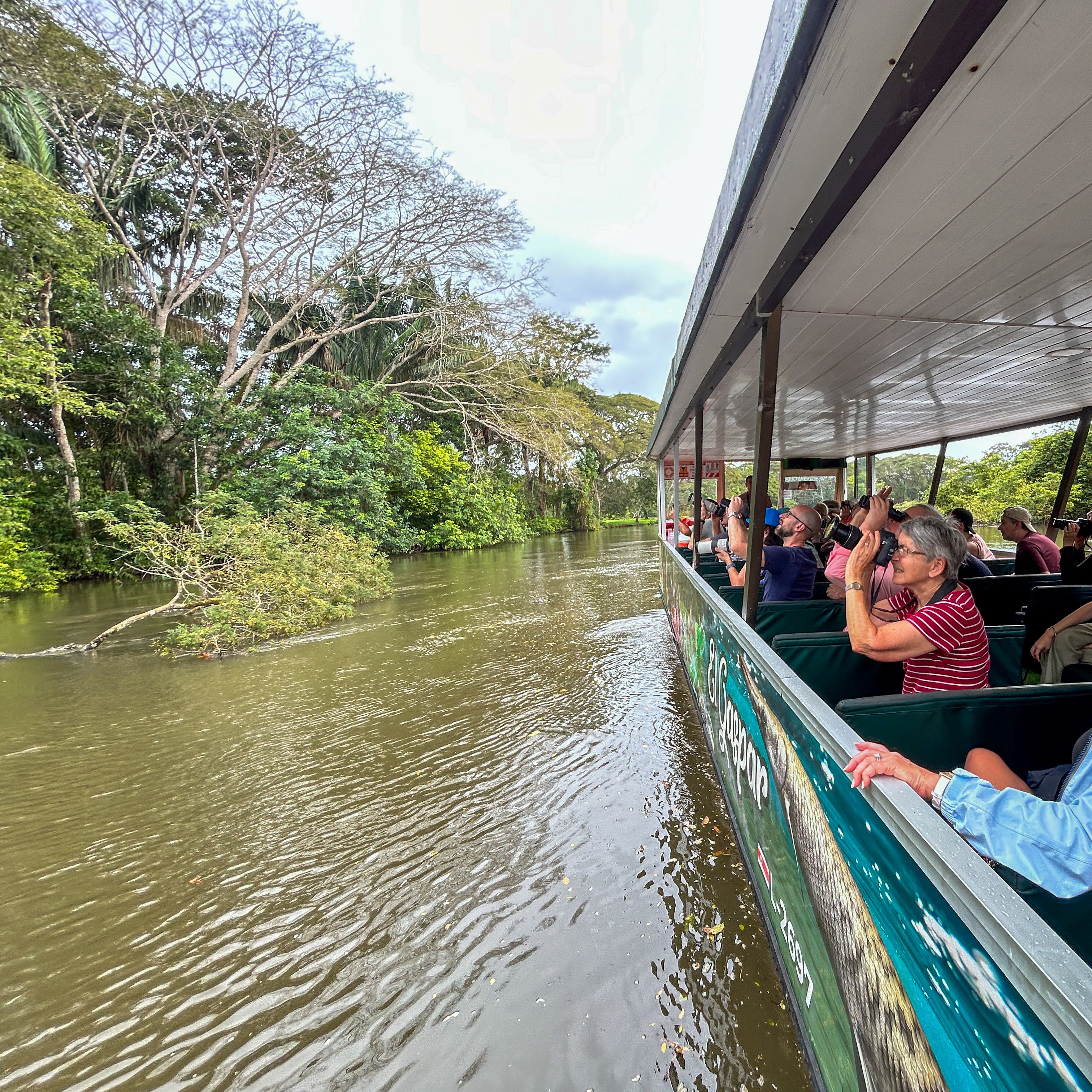 Wildlife Safari 2